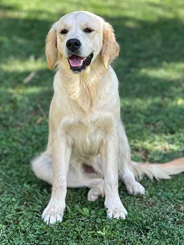 Kira