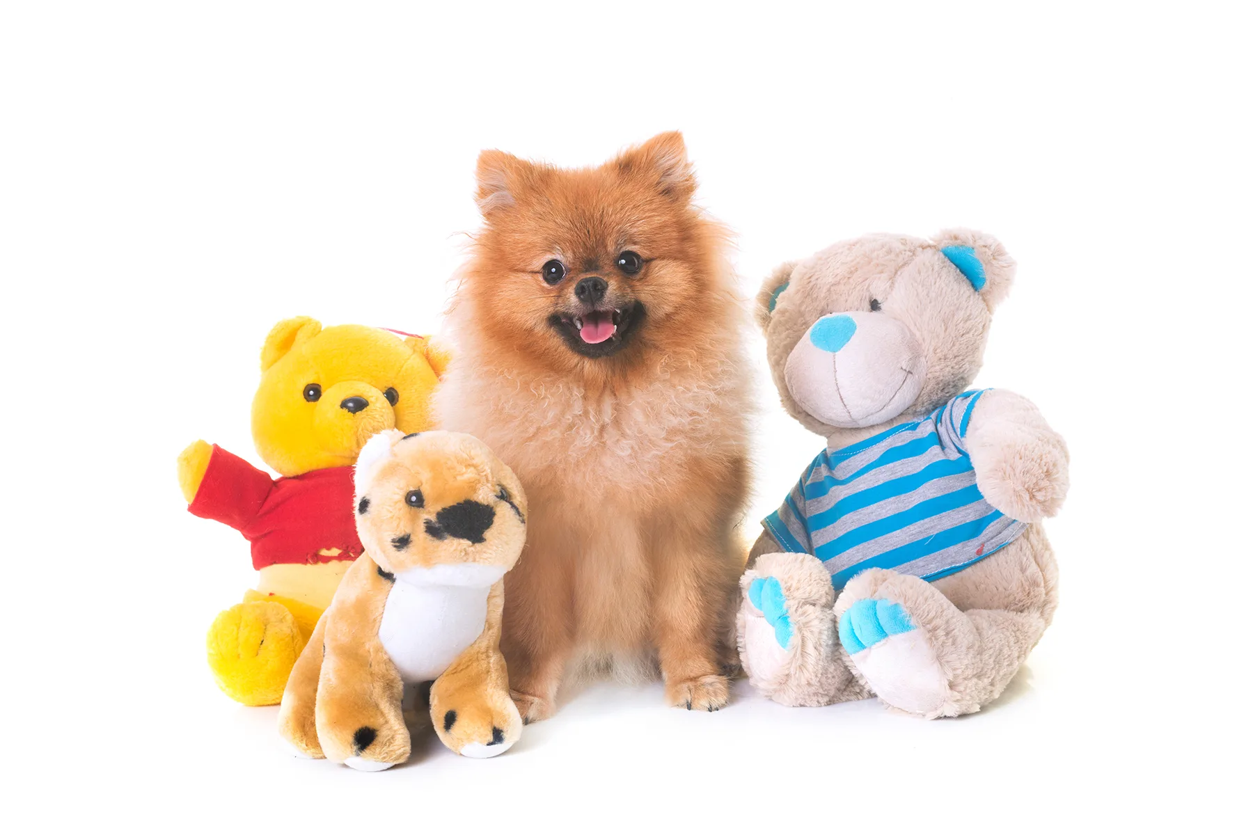 Juguetes y diversión